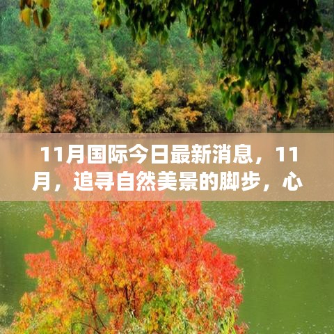 11月自然美景心灵之旅启程，国际最新消息与美景探寻