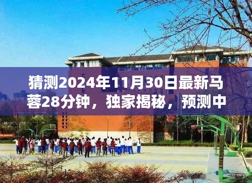 2024年11月 第21页