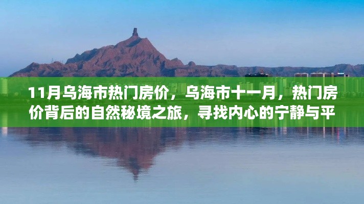 乌海市十一月热门房价背后的自然秘境之旅，探寻内心宁静与平和的居所