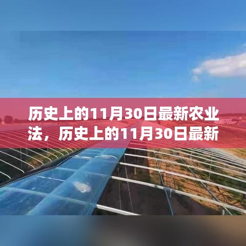 历史上的11月30日最新农业法深度解析，特性、用户体验与目标用户群体探讨