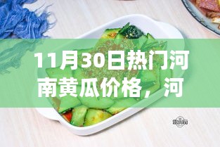 探寻河南隐藏小巷的神秘黄瓜秘境，最新鲜黄瓜价格奇幻之旅（11月30日热门资讯）