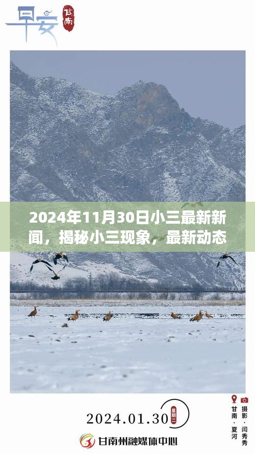 揭秘小三现象，最新动态与深度解读（观察点，2024年11月30日）