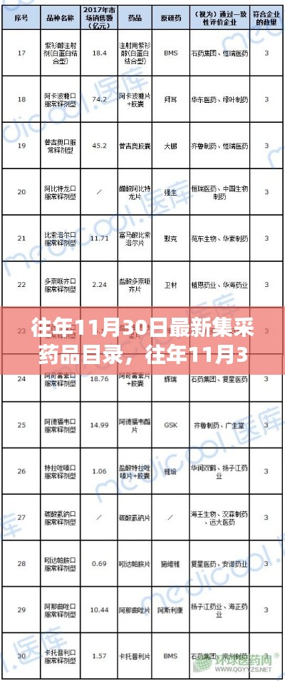 往年11月30日最新集采药品目录详解，查询指南与获取流程手册