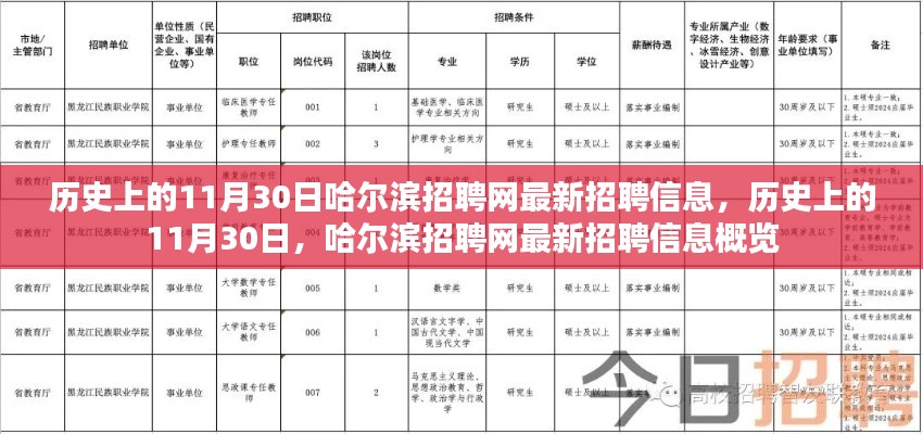 历史上的11月30日哈尔滨招聘网最新招聘信息概览，最新招聘信息一网打尽！