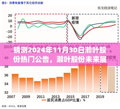 瀚叶股份未来展望，预测2024年热门公告与行业洞察揭秘