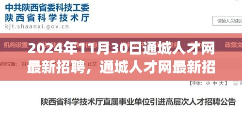 通城人才网最新招聘动态，探索职场新机遇，启程未来职业之旅（2024年11月）