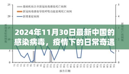 2024年11月 第2页