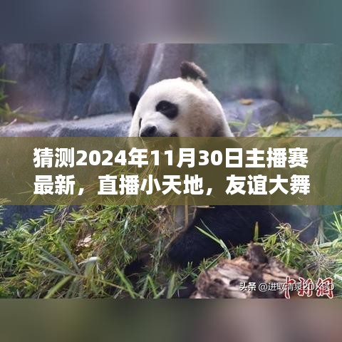 揭秘2024年11月30日神秘主播赛，直播小天地，友谊大舞台