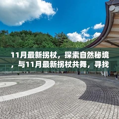 11月最新拐杖，探索自然秘境，共舞心灵桃花源之旅