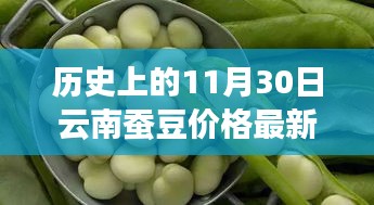 历史上的11月30日云南蚕豆价格走势及最新行情影响分析