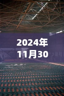 揭秘青岛钢厂最新动态，2024年11月30日最新消息解读与分析