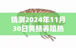 探秘未来黄鳝养殖秘籍，小巷深处的养殖法展望与热门方法预测（2024年）