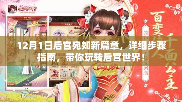 12月1日后宫宛如新篇章，详细步骤指南，带你玩转后宫世界！