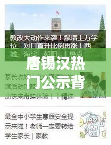 唐锡汉热门公示争议背后的深度解读与观点阐述