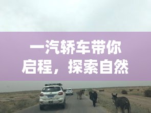 一汽轿车，启程探索自然美景，寻觅内心宁静之地