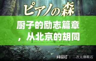 厨子的奋斗历程，从胡同到星辰大海的跃变——十二月一日的里程碑