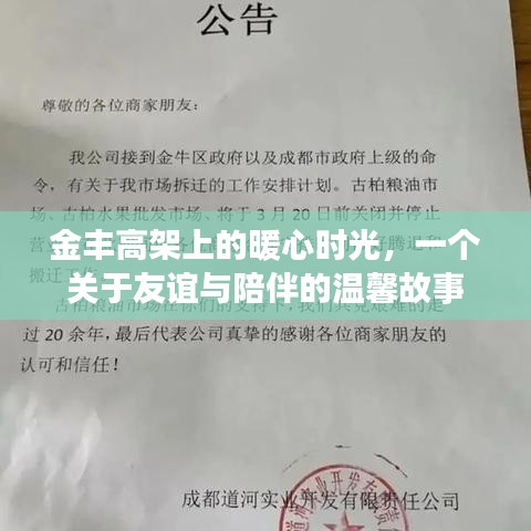 金丰高架上的暖心时光，友谊与陪伴的温馨篇章