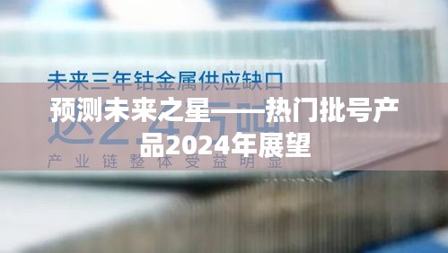 热门批号产品展望，预测未来新星——2024年展望