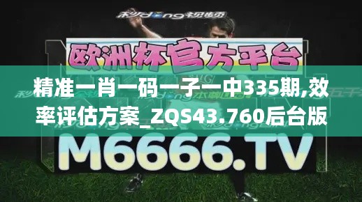 精准一肖一码一子一中335期,效率评估方案_ZQS43.760后台版