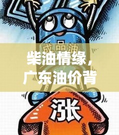 柴油情缘，广东油价背后的暖心故事探索