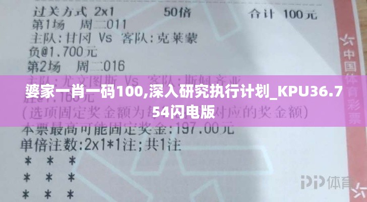 婆家一肖一码100,深入研究执行计划_KPU36.754闪电版