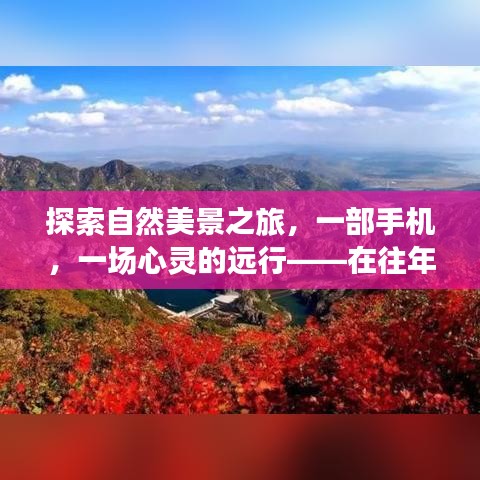 自然美景之旅，手机中的心灵远行——电影播放器里的宁静与喜悦探索