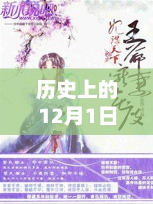 傻夫君宠妻无度手册，深度历史回顾与最新指南（12月1日特辑）