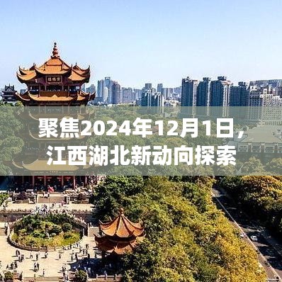 江西湖北新动向展望，聚焦2024年12月1日的未来展望