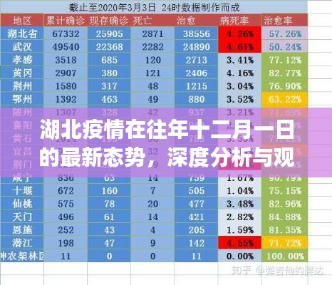 湖北疫情去年十二月态势深度分析与观点阐述