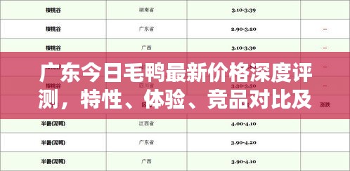 广东毛鸭最新价格深度解析，特性、体验、竞品对比及用户群体洞察