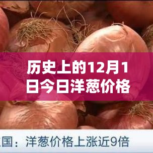 历史上的今日洋葱价格走势深度解析报告