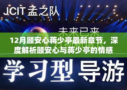 顾安心与蒋少亭情感纠葛最新发展深度解析，12月最新章节