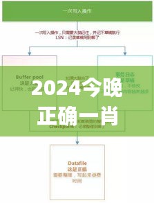 2024年12月2日 第33页