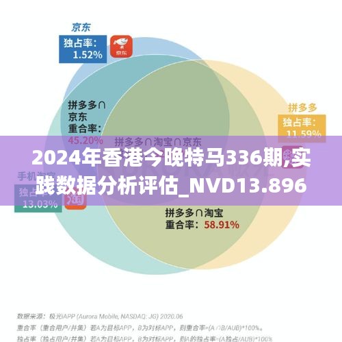 2024年香港今晚特马336期,实践数据分析评估_NVD13.896方案版