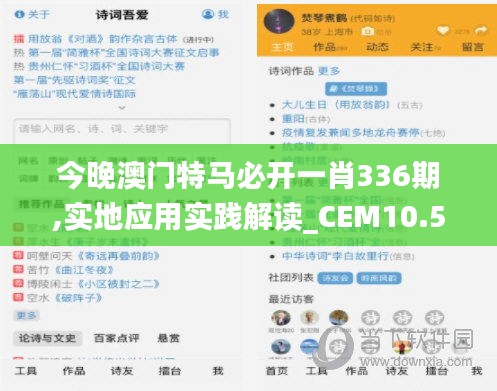 今晚澳门特马必开一肖336期,实地应用实践解读_CEM10.587赋能版