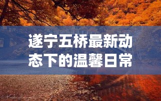 遂宁五桥最新动态下的温馨日常，桥与情的交织纽带