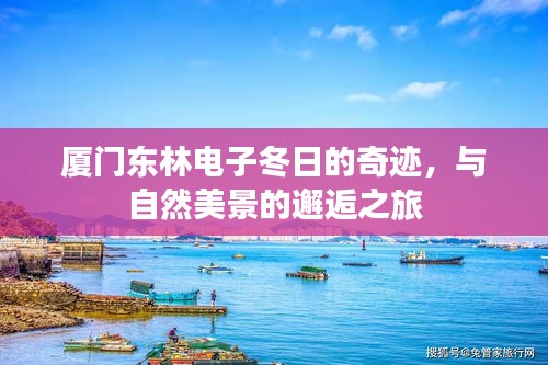 厦门东林电子冬日的奇迹之旅，与自然美景的邂逅