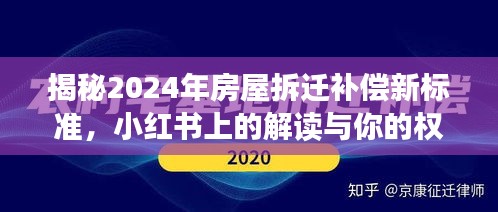 2024年12月2日 第20页