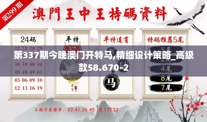 第337期今晚澳门开特马,精细设计策略_高级款58.670-2