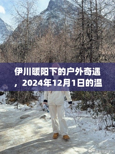 伊川暖阳下的温馨户外奇遇之旅，2024年12月1日难忘体验