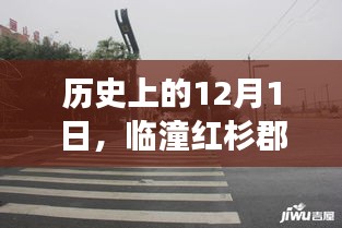 临潼红杉郡最新发展动态揭晓，历史性的12月1日回顾