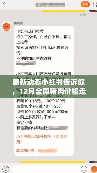 12月全国猪肉价格走势解析，小红书最新动态汇总