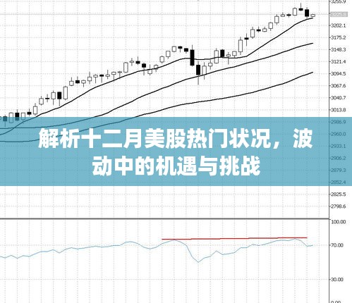 2024年12月2日 第4页