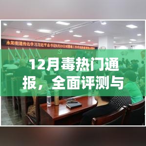 12月毒热门通报，全面评测与深度解析报告