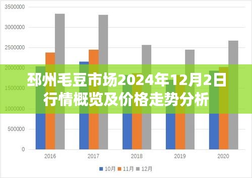 邳州毛豆市场2024年行情概览与价格走势分析报告