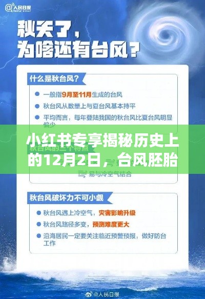 揭秘历史与气象，台风胚胎动态回顾与小红书专享资讯 🌀💨（历史上的十二月二日）