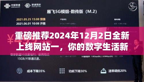 全新上线网站一，开启你的数字生活新篇章（2024年12月2日重磅推荐）