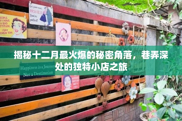 揭秘十二月最火爆秘密角落的独特小店之旅