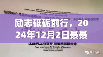 2024年12月3日 第33页