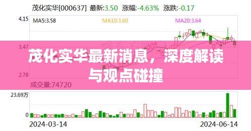 茂化实华最新动态，深度解读与观点交锋